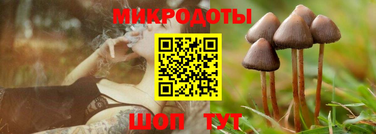Псилоцибиновые грибы Magic Shrooms  Вход с VPN  купить наркотики цена  Благовещенск 