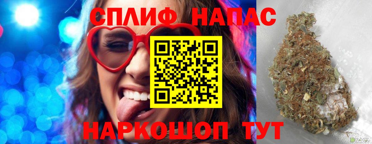 Бошки Шишки планчик Благовещенск